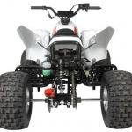 Apex 100 MXR Racing